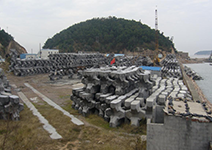 Precast Yard of 6t Accropodes Ⅱ.png