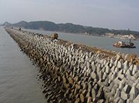 Panoramic View of Seawall Accropodes Slope Protection Ⅰ.png