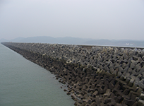 Panoramic View of Seawall Accropodes Slope Protection Ⅱ.png